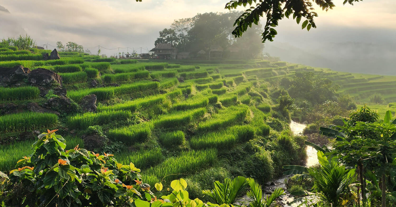 Northern-Vietnam-Photography-Tour-15-Days-Terraces-Highlands-Halong-Bay